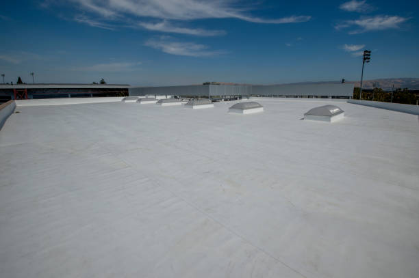 Best Green or Eco-Friendly Roofing Solutions  in Northview, MI