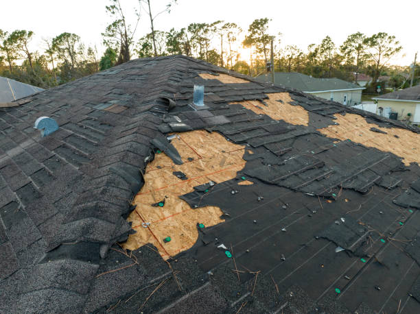 Best Skylight Installation and Repair  in Northview, MI