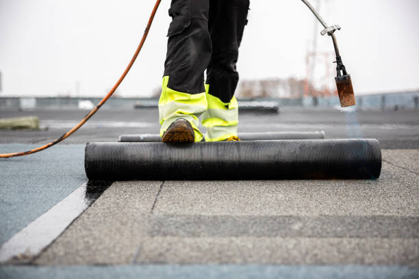 Best Sheet Metal Roofing  in Northview, MI