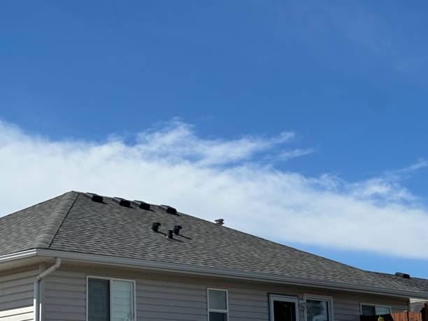 Reliable Northview, MI Roofing Solutions